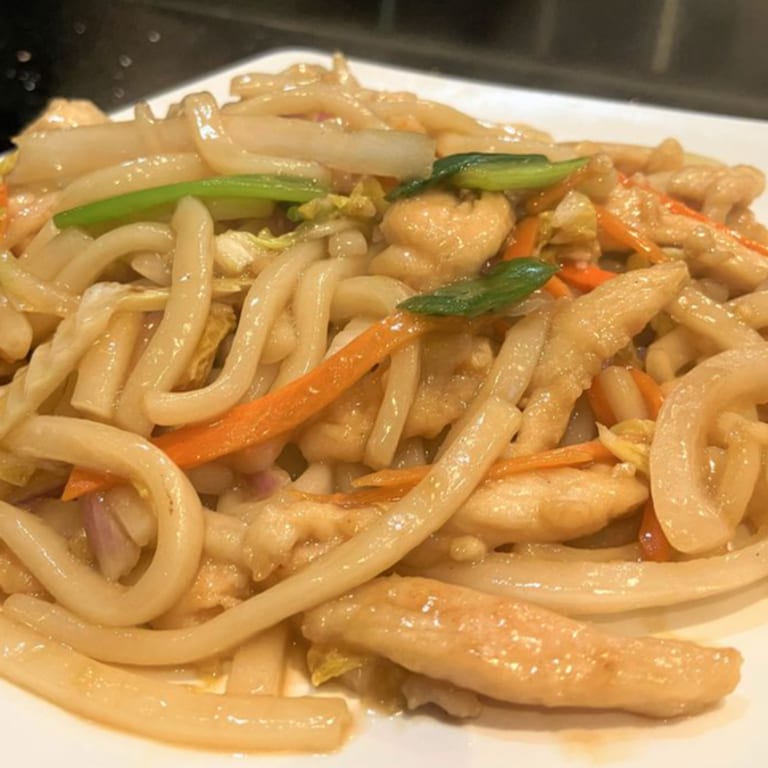 Savor Our Udon Noodles